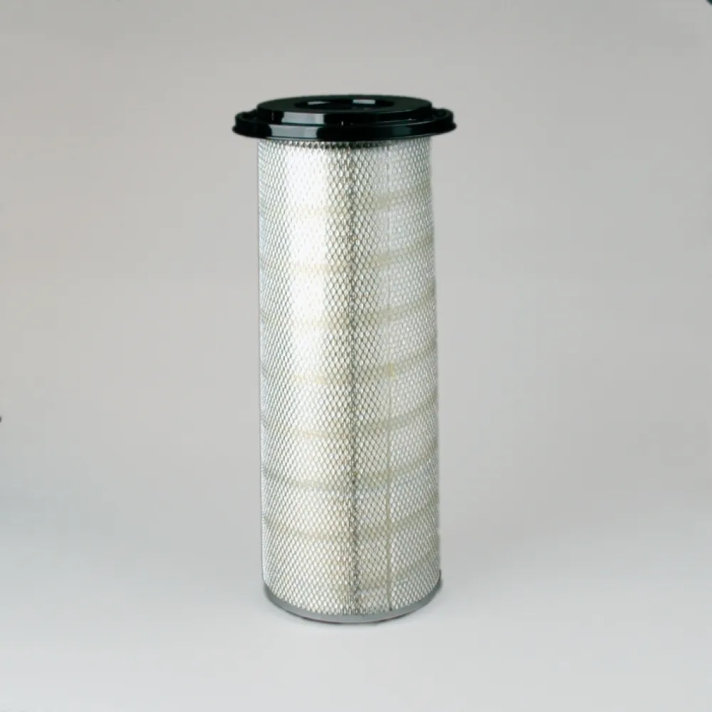 Lọc gió thô động cơ P150695