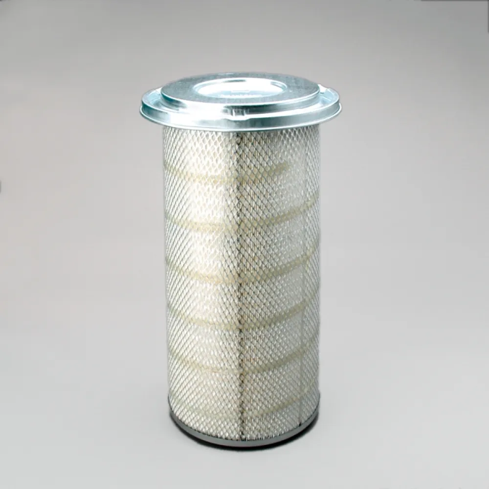 Lọc gió thô động cơ P153551