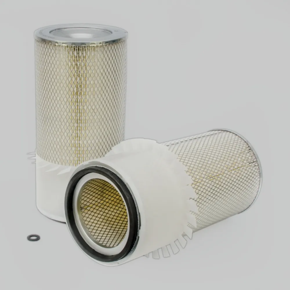 Lọc gió thô động cơ P181064