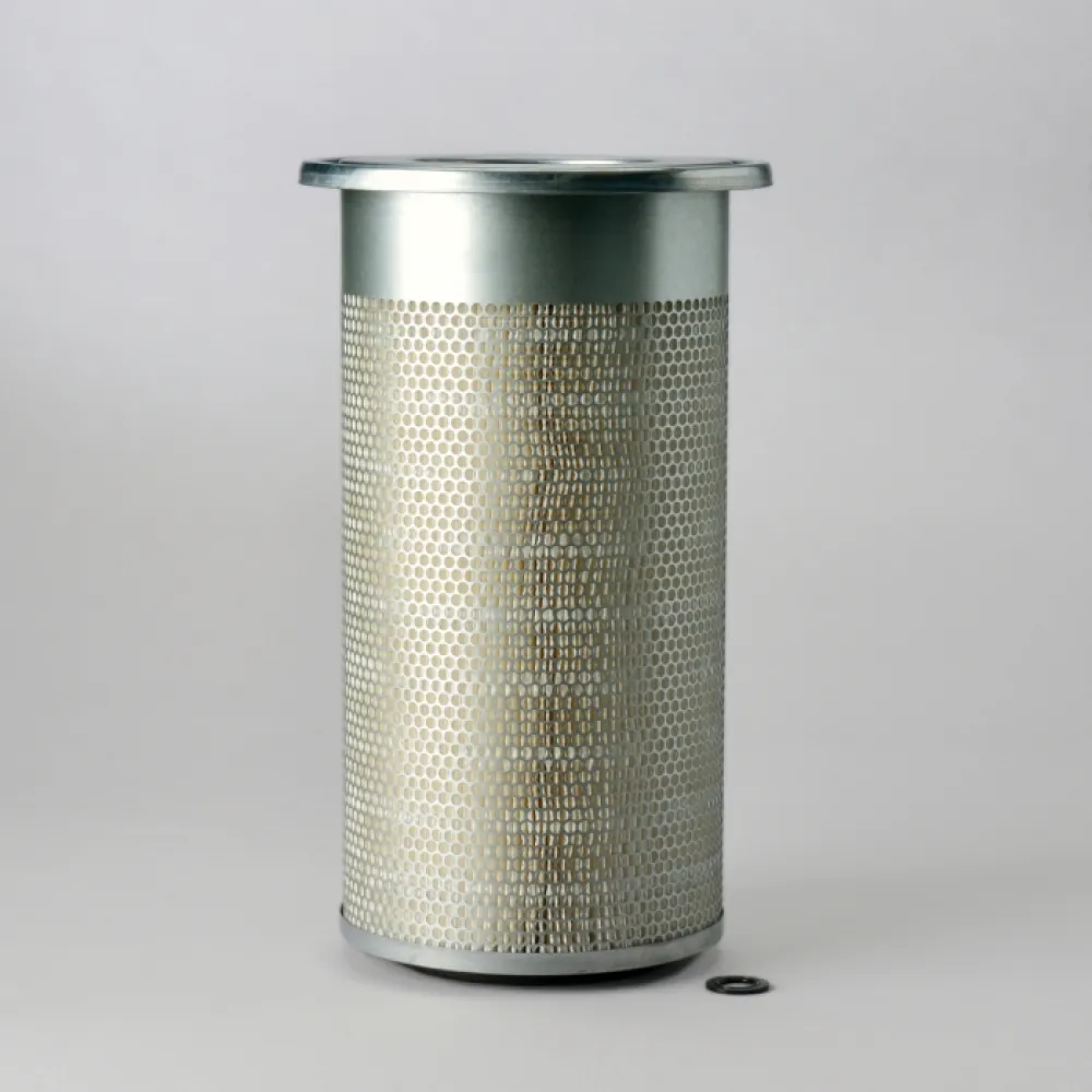 Lọc gió thô động cơ P181191