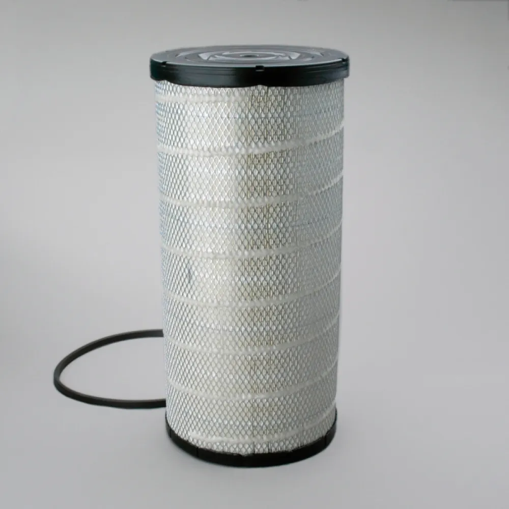 Lọc gió thô động cơ P534816