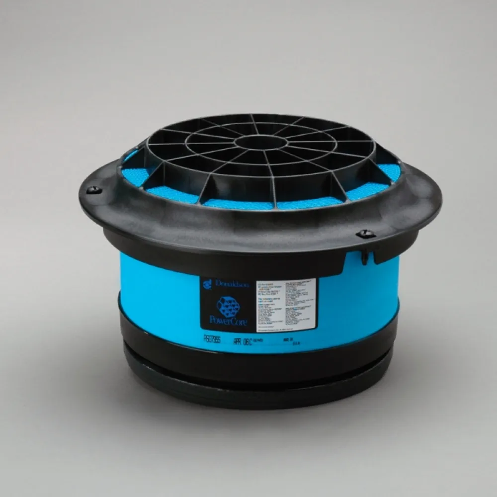 Lọc gió thô động cơ P607955
