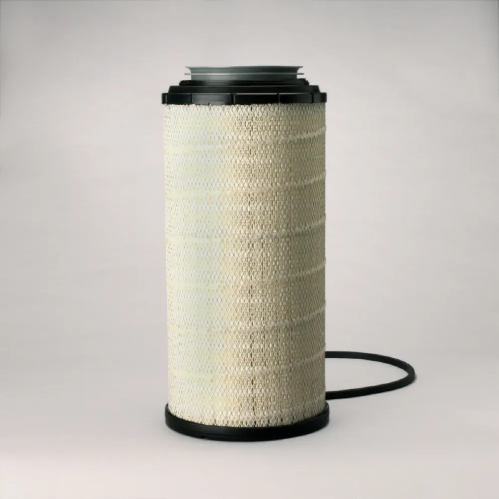 Lọc gió thô động cơ P625287