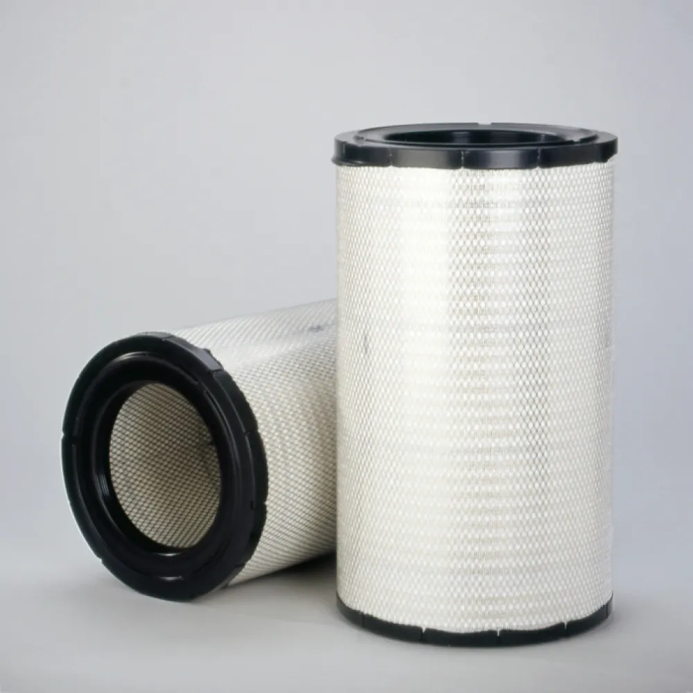 Lọc gió thô động cơ P781098
