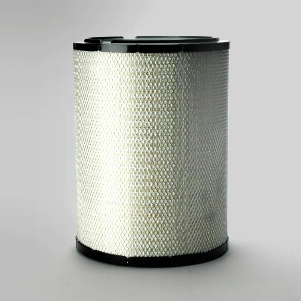 Lọc gió thô động cơ P781398