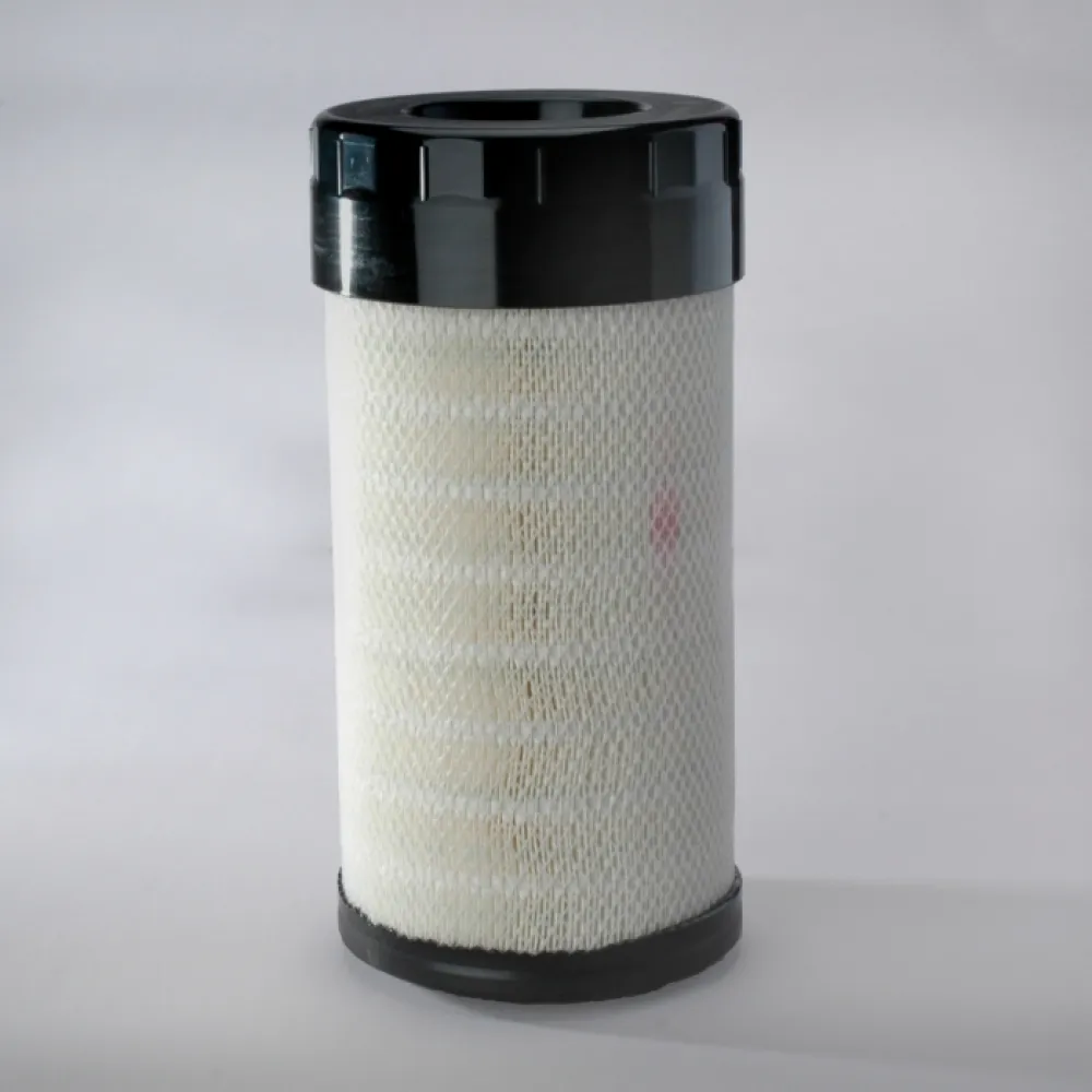 Lọc gió thô động cơ P785388