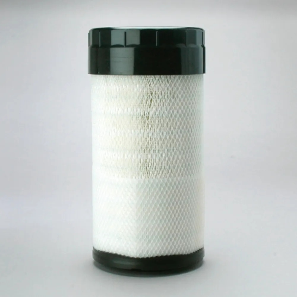 Lọc gió thô động cơ P785589