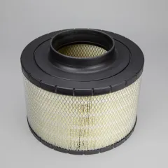 B120572 Donaldson lọc gió thô động cơ