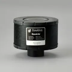 C065001 Donaldson lọc gió thô động cơ