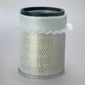 thumb Lọc gió thô động cơ P181045