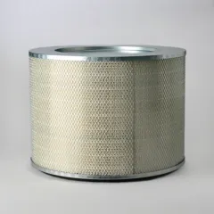 P535114 Donaldson lọc gió thô động cơ