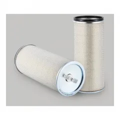 R000002 Donaldson lọc gió tinh động cơ